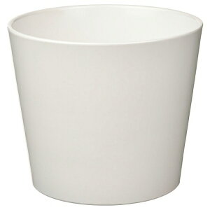 IKEA CPA Jo[ 4 zCg  12cm m90533579 SOJABONA \C{i v^[ AؔJo[  K[f K[fjO Aؔ v^[Jo[  Vv k