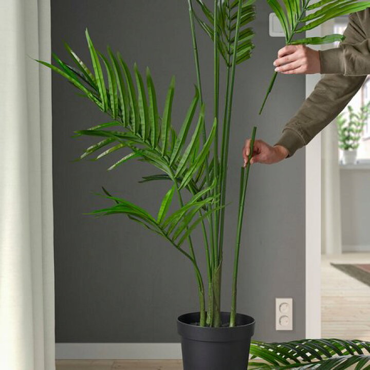 楽天市場】IKEA イケア 人工観葉植物 室内/屋外用/ケンチャヤシ 21cm 
