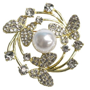 u[` ꗱp[ X`[t  w Ǝ RT[W Xg[s  CXg[  Ӊ \ ܎O p[eB[hXʔ́yy_yjcƁz