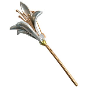 u[`  AeB[N  w Ǝ RT[W Xg[s     Ӊ \yy_yjcƁzyn֐ByRCPz