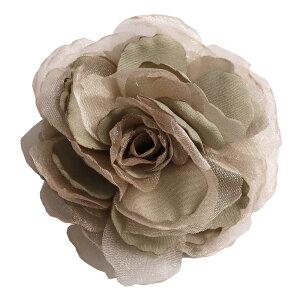 RT[W u[`  w Ǝ t[AWg wANbvti  u[`  Ӊ \ ܎O Zj[X^CɃsb^yy_yjc