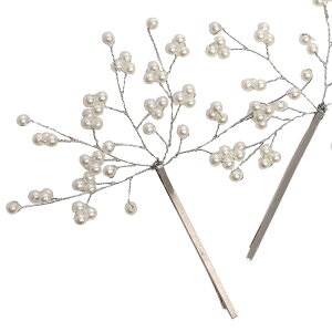 p[wAs 2{Zbg wAANZT[ tHgEGfBO p[ s  񂴂 wAAW  l \ p[eB[hXʔ́yy_yjcƁzyn