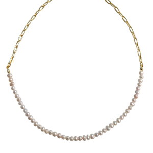 p[lbNX JWA Iׂ2^Cv W^ C~e[Vp[  S[hy[p[Nbv`F[  Ă΂ p[eB[ fB[XANZT[ p[eB[