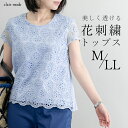 ★今ならポイントバック最大22倍★【送料無料/再入荷】 花柄レース刺繍カットソー 5色 M-LL 洗える 半袖 レディースファッション トップス オケージョン Tシャツ インナー レース オフィス 冠婚葬祭 入学式 卒業式 春夏 メt 3899