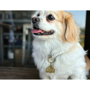 yzIzDOGS FOR PEACE hbOXtH[s[X DOG HOUSE CHARM hbOnEX`[ 960001 y ybg  G L[z_[ obO ^J zy[ցEsz