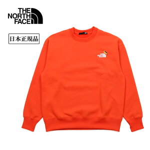 yN[|zzIzTHE NORTH FACE UEm[XEtFCX Zoo Picker Crew Y[sbJ[N[ NT62434 y gbvX  g[i[ XEFbg AEghA z