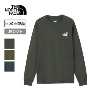 THE NORTH FACE UEm[XEtFCX L/S Zoo Picker Tee OX[uY[sbJ[eB[ NT82536 y gbvX  T UVJbg ^E[X AEghA {Ki z
