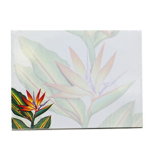 AnXeBbLm[g o[hIup_CX|XgCbg t ӂ m[gpbg nCA G nCG   [ s16