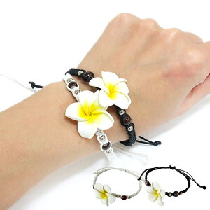 vA ~TK uXbgANZT[ nCAANZ   zCg ubN nCA G nCG