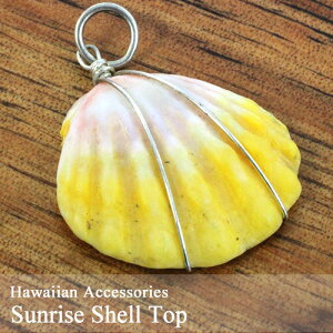 ݌Ɍ菤i  TCYVF gbvsAX p[c nCA G ANZT[  Mtg v[gIW CG[ zCg t_X