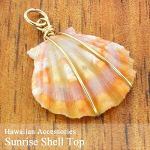 ݌Ɍ菤i  TCYVF gbvsAX p[c nCA G ANZT[  Mtg v[g IW  CG[ t_X