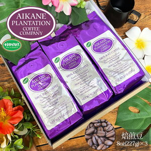 R[q[ MtgZbg   100JER[q[3 ACJl ve[V JER[q[ 8oz 227g Aikane Plantation Coffee CompanyKCC yY Ε  Mtg v[g j  