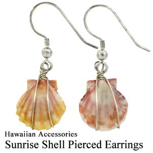 ݌Ɍ菤i  TCYVF sAX 17nCA G ANZT[  Mtg v[g CG[ nC t_X