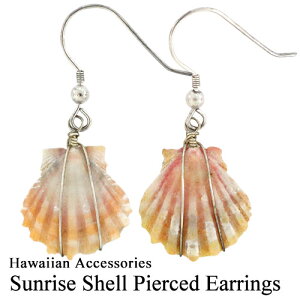 ݌Ɍ菤i  TCYVF sAX 19nCA G ANZT[  Mtg v[g IW CG[ zCg nC t_X