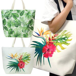 e nCA g[gobO 傫  gsJr[`g[g Xe ԕ s {^jJ AChwe[W AChweCW Island Heritage