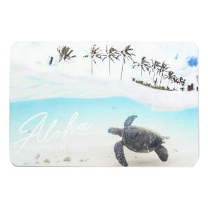 ]y Kahiko ACiPC\Eh }bg 39cm×60cmnCA G nCG C oX[ ʏ oX}bg V z ͗lւ _Chwbh vA zk nC