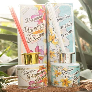 fBt[U[ vA CeA   [tOX nCAG Kahiko j Mtg v[g V