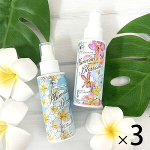 �y�I�ׂ�3�{�Z�b�g�z�v�������A ���[���~�X�g ���[���X�v���[�t���O�����X �n���C �G�� �n���C�G�� ���� Kahiko ���L �F��