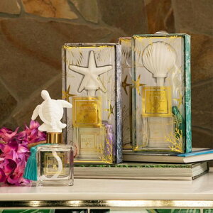 r[`J[ fBt[U[ F CeA   [tOX  nCA G nCG v[g Mtg V kahiko nC