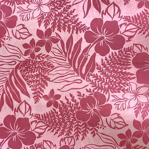 nCA Rbgn sN nCrXJX 1[hPʃnCA nCAG nCAn