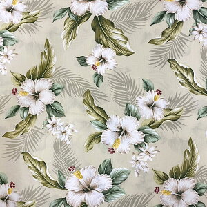 nCA n nCrXJX ItzCg 1[hPʈߑ nhCh nCA nCAG