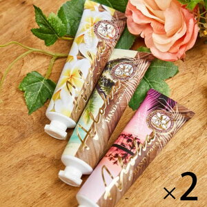 yIׂ2{Zbgz~jTCY nhN[ 30g ێ gїp AC vAԃGLX RRibcIC V z KahikonhPA  r\h \hnCAG n