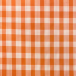 nCA n pJ IW 1[hP Rbg Ȉߑ nCA nC nCAn lC ݂鐶n lC `FbN MK`FbN Palaka