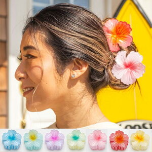 nCrm wANbv傫 nCrXJX wAANZT[  nCA G nC  Kahiko