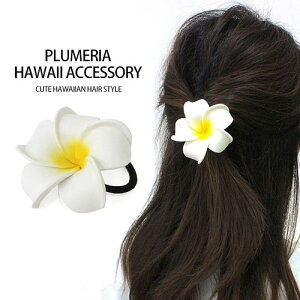 vA wAS wAANZT[ ][gt@bV karet C3nCA G nCG fB[X JWA n[tAbv |j[e[ l t yY   