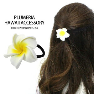 vA wAS X[S wAANZT[ ][gt@bVnCA G nCG fB[X JWA n[tAbv |j[e[ l t yY  