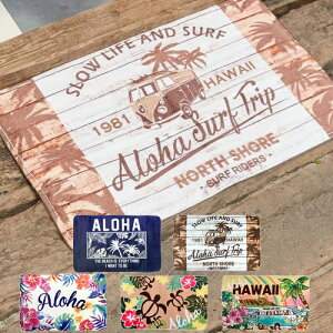 RNA tA}bg 45cm×74cmnCAG V z ͗lւ CeA xbhTCh Lb` nC kahiko