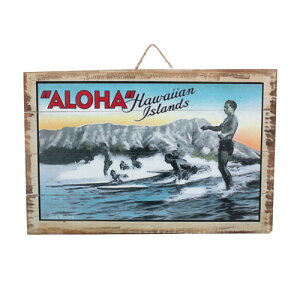 A[gpl ` C T[t{[h A[g{[h Ǌ| CeA Kahiko Be[WJo ALOHA SURFnCA G nCG 