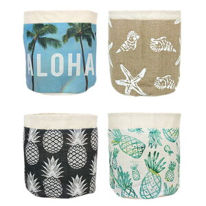 vg|[`Jo[ |bgJo[  K[f CeA DIY v^[nC G nCG yY v`Mtg pCibv