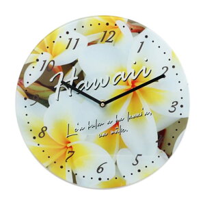 v Ǌ| AnJCNbN PLUMERIA vAyAznCA G CeA nCG nC  ͗lւ Kahiko j V Vz v[g