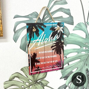 A[gpl STCY GRADATION Of[V CeA G Kahiko AnTC{[hV̖ p[c[ A[g{[h Ǌ| nCA G nCG 