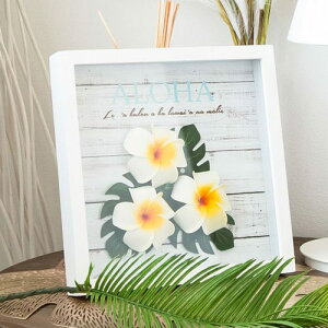 A[gpl A[g{[h Ǌ| CeA vfR~jt[ 25cm×25cmKahiko v[g nCAG nCG  vA nC