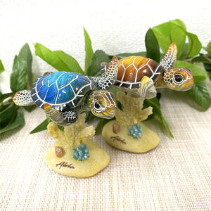 XEBO zk tBMA KahikoCeA T J nCA G nCG  킢