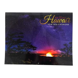 J_[ 2026N Ǌ| nCAJ_[ nC Big IslandCeA ݉\ nCA G nCG  i C