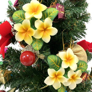 nCA NX}X I[ig C vA ԃnCAG CeA u  nCG Mtg v[g 