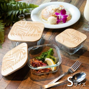 Anou[ Rei STCY ۑe nCA H KahikoWOK KX e nCA G nCG Lb` H M 