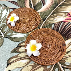 vA EhR[X^[Lb` CeA yY Mtg Ԃ v[g  킢 ԃnCA G nCG AWA ][g nC