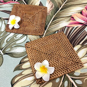 vA XNGAR[X^[Lb` CeA yY Mtg Ԃ v[gnCA G nCG AWA ][g nC