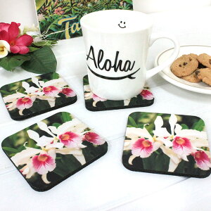 Made in Hawaii nCA R[X^[ 4Zbg AnCA G nCG CeA Lb`  yY ԕ Ԃ Mtg v[g nC