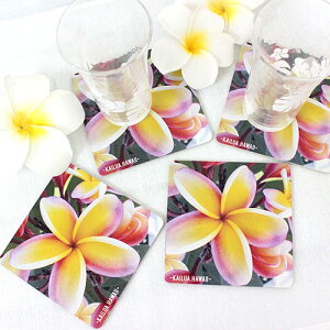 vA R[X^[ 4ZbgnCAG   nC ԕ {^jJ