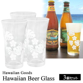 ハワイアン ビアグラス タンブラー 170ml 3個セット モンステラ＆プルメリア 日本製ハワイ キッチン 食器 コップ グラス カップ おしゃれ ギフト プレゼント ビール おしゃれ 花柄 プルメリア