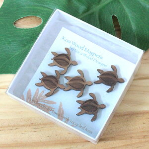 RAEbh }Olbg zkZbgnCyY }Olbg  MtgnCA G nCG nC