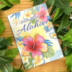 B6 2026N 蒠 _CA[ nCrXJX KahikonCA G nCG [  킢 nCAm[g t_X ^q`A L