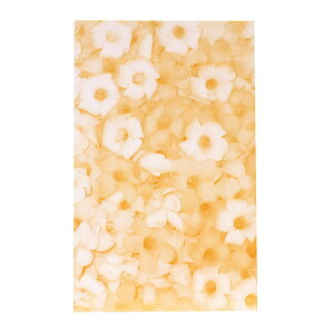  nCA m[gpbh [W vAPjPjnCA G nCG  킢 ԕ 