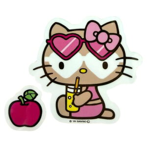 ĂLeB XebJ[ V[ TI n[LeB Sunglass TOX {nCXebJ[ V[ nCA G nCG 킢