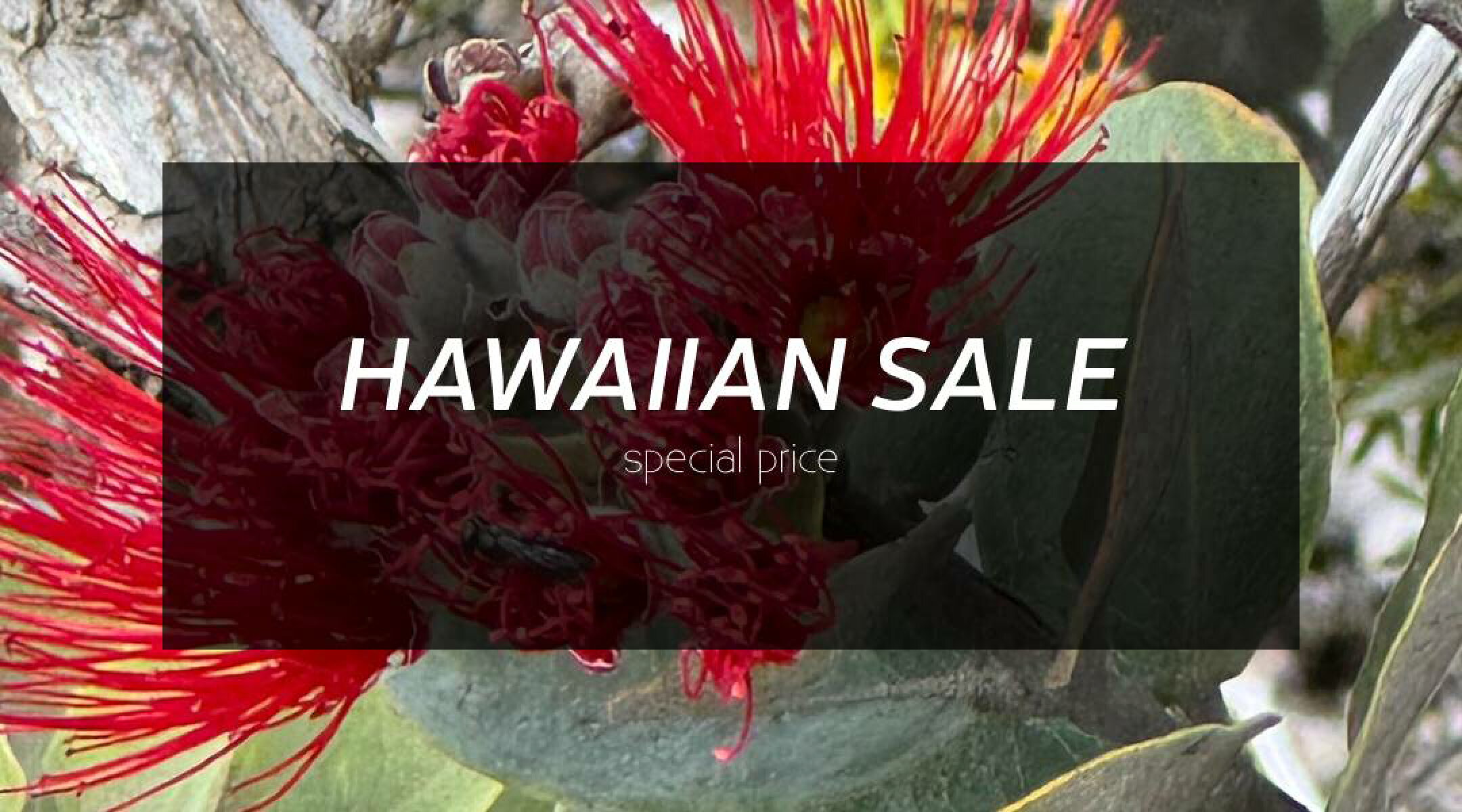 ハワイアンセール